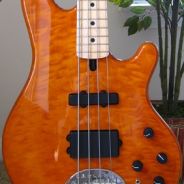 Gibbsalot - steam id 76561197960953397