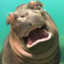 Derpy_Hippo