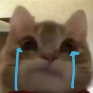 也无风雨也无晴