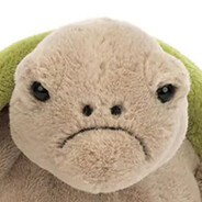 TimmyTurtle