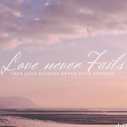 不炸厨房的小狸花