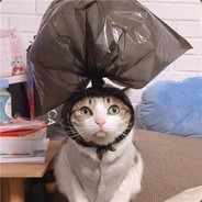 丹丹堡堡主