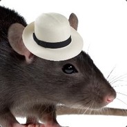 Hat Rat