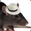 Hat Rat