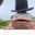peanut79382 avatar