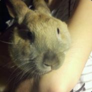 WqYn3 - steam id 76561197993285304