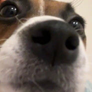 mopz - steam id 76561198776770028