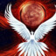 WhitePhoenix