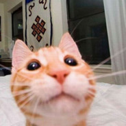 Phan