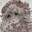 littlelamb