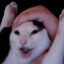 Evens's avatar