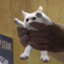 cat with awptism