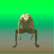 ` DaemooN SKINS