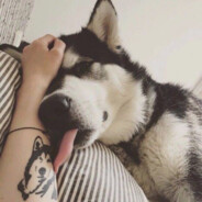 弟弟今天要上分