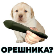 Лютенко Дима (пошлый)