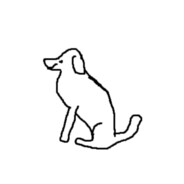 Ipek avatar