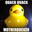 [DLF] Quack Quack