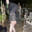 zdarova/LopatkinHere->