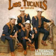 Los Tucanes de Tijuana