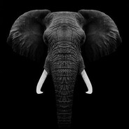 RAMO - steam id 76561199866327945