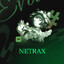 Mr Netrax's avatar