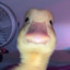 Gurady