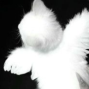 bwnnytears - steam id 76561198982644278