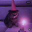 Lonely cat's avatar