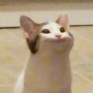 提瓦特人蜂医