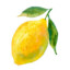 lemon2