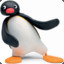 Pingu_noot