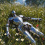 waffle's avatar