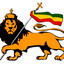 RaStaFaRi