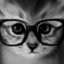 Lolcia_785