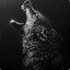 DeaWolf