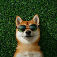 AOMINE_DAIKI - steam id 76561199847674177