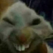 xdx am terrister