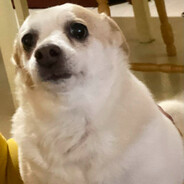 noob with awp - steam id 76561198154712358