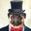 Sir.Pug