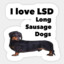 LSD enjoyer