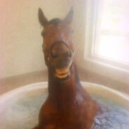 horse of the year