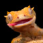 gEck0_