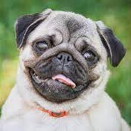 MOPS_made in Ukraine