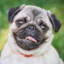 MOPS_made in Ukraine