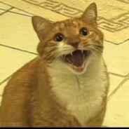 喜欢游戏的催源