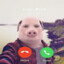 John Pork
