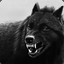 Black Wolf 1194
