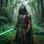 Roaming Ronin