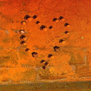 қанағаттандырылм