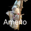 Ameno